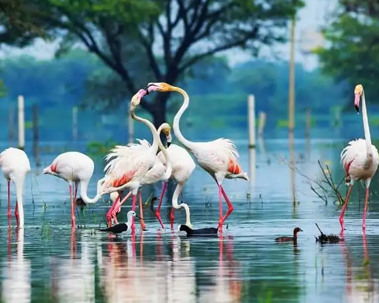 Golden Triangle Tour With Bharatpur and Ranthambore