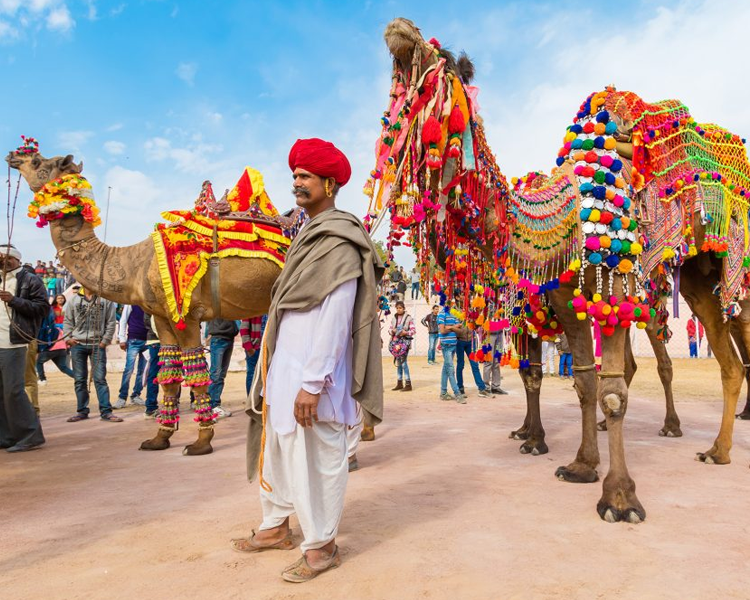 Golden Triangle Tour with Ajmer and Pushkar